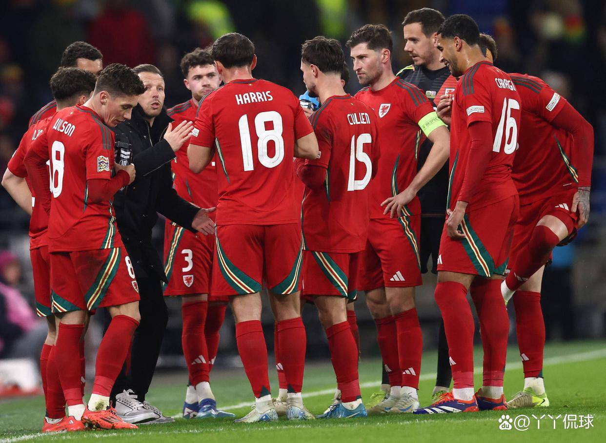 威尔士队在比赛中展现出色合作默契